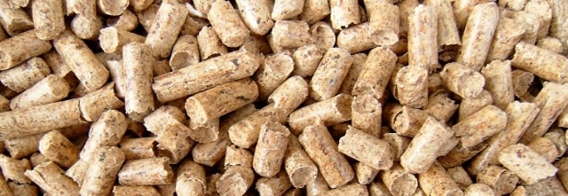 Palivo